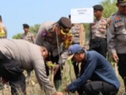 Kemenko PMK, Polres,Dan Masyarakat Tanam 500 Pohon Secara langsung.