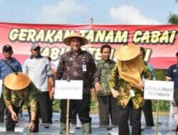 Pj Bupati Hadiri Kegiatan Gerakan Tanam Cabe Di Jaken Pati.