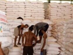 Pupuk Bersubsidi Hanya Bisa Di Jual Di Kios Resmi,Selain itu Akan Mendapatkan Sangsi.