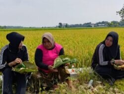 Kapolsek Tawangharjo Polres Grobogan Turun Langsung Sambangi Petani