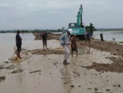 Guna Antisipasi Tanggul Sungai Wulan Karang Anyar Yang Rawan Jebol Kembali ,BPBD Demak Datangkan Dua Alat Berat