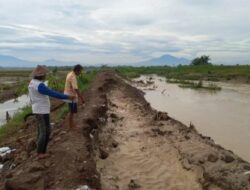 Tanggul Sungai Cabean Tegowanu Debit Air Sangat Memprihatinkan,Warga Meminta Istansi Terkait Bertindak Cepat.