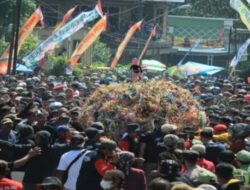 Festival Budaya DESA JEPARA,Akan Pecahkan Rekor MURl.