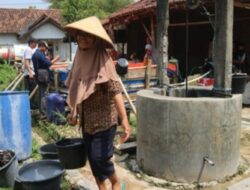 Sebanyak 71 Desa Di Pati Mengalami Kekeringan Pemkab Pati Tetapkan Tanggap Darurat.