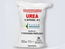 PT Pupuk Indonesia Akan Berikan Sanksi Tegas Mitra Yang Menjual Pupuk Bersubsidi Di Atas HET(Harga Eceran Tertinggi).