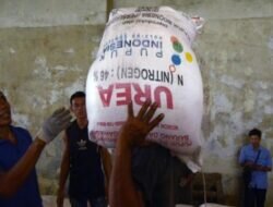 Kementerian Koperasi Berencana Mengubah Status Gapoktan Menjadi Koperasi, Untuk Salurkan Pupuk Bersubsidi.