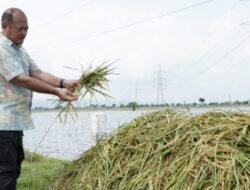 Pj Bupati Pati Sujarwanto Dwiatmoko, Lakukan Peninjauan Langsung Ke Sejumlah Wilayah Terdampak Banjir Di Kabupaten Pati.