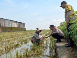 Hadapi Bulan Ramadhan 2025, Polsek Karangtengah Bagikan Sembako Pada Beberapa Buruh Tani.