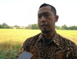 Perum Bulog Cabang Pati Pastikan Harga Pembelian Pemerintah (HPP) Rp.6.500 Per Kg Untuk Gabah Kering Panen (GKP).