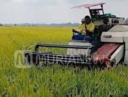 Pemkab Grobogan Upayakan Gabah Milik Petani Di Grobogan Bisa Di Beli Sesuai Dengan Harga Pembelian Pemerintah ( HPP).