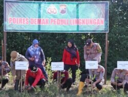 Peduli Pada Lingkungan Polres Demak Tanam 1.500 Pohon Mangrove.