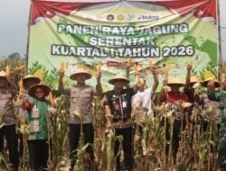 Kapolres Demak Pimpin Langsung Panen Raya Jagung Kuartal I Tahun 2026.