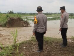 Tanggul Sungai Cabean Jebol  Sepanjang 25 M, Karangawen Dan Guntur Terendam Banjir.