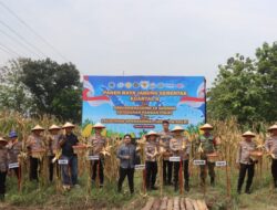 Polres Demak Panen Raya Jagung, Hasil 4 Ton Disalurkan ke Bulog
