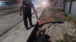 Pria Ditemukan Tewas di Pantura Demak, Polisi Selidiki Dugaan Penganiayaan