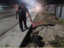 Pria Ditemukan Tewas di Pantura Demak, Polisi Selidiki Dugaan Penganiayaan